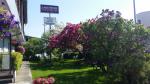Comfortable gardens to relax in at Lakeshore Inn & Suites, Anchorage AK