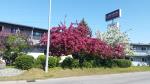 Outside Gardendens to relax in at Lakeshore Inn & Suites, Anchorage AK