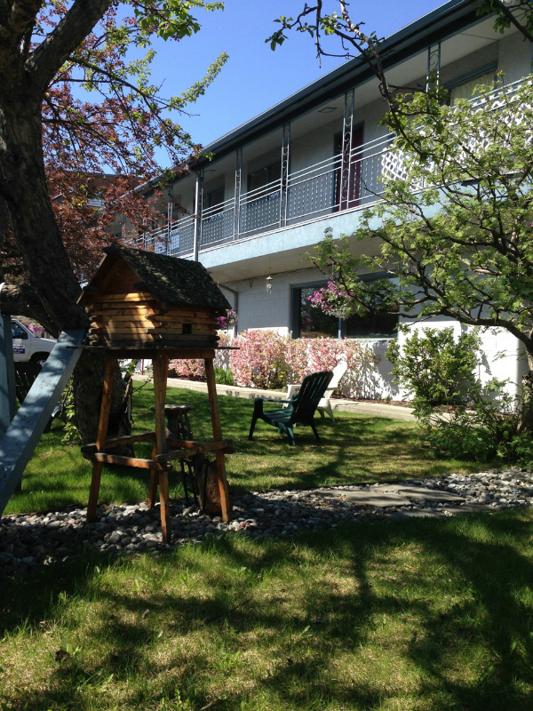 Lakeshore Inn & Suites Building