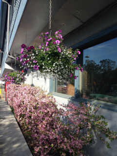 Lakeshore Inn & Suites Exterior view